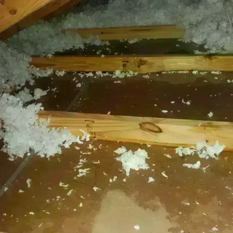 Attic Water Damage in Holbrook, MA